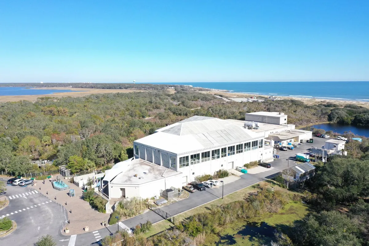 An inviting exterior scene featuring a building nestled among lush greenery with an expansive ocean view behind it. The landscape highlights both natural surroundings and proximity to the coast, suggesting a place where outdoor activities abound.