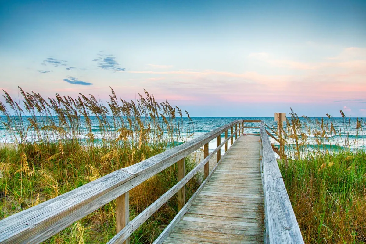 A tranquil wooden walkway bordered by tall grass leads directly to the beach and ocean waves. The scene exudes peace and the allure of open-air experiences, ideal for morning or evening strolls with a dog.