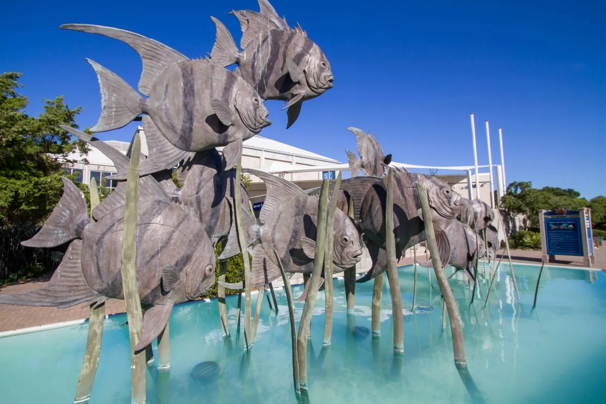A playful exterior scene featuring a large metal fish sculpture by clear water with green reeds, creating a whimsical and interactive outdoor environment. The artistic element encourages exploration and is perfect for family photo opportunities.